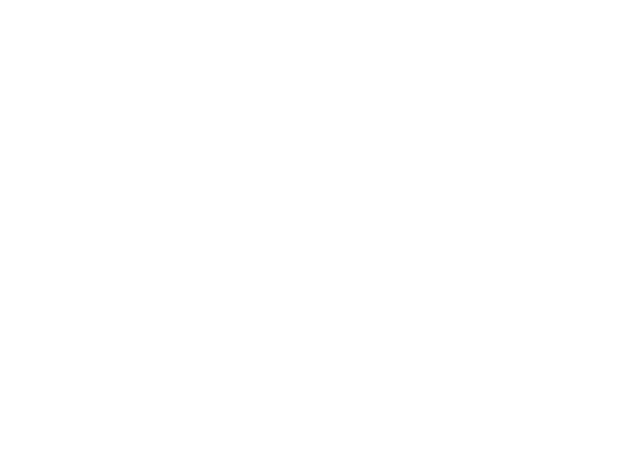  Logo de Debandy en blanco